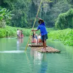 Black River Safari