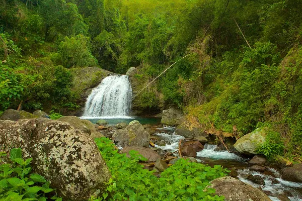The Blue and John Crow Mountains National Park