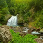 The Blue and John Crow Mountains National Park