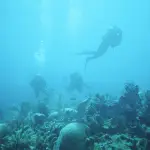 Dive Sea World