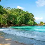 Winnifred Beach