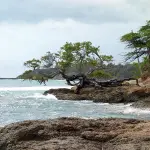 Treasure Beach