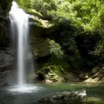 Nanny Falls & Moore Town