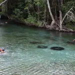 Salt River