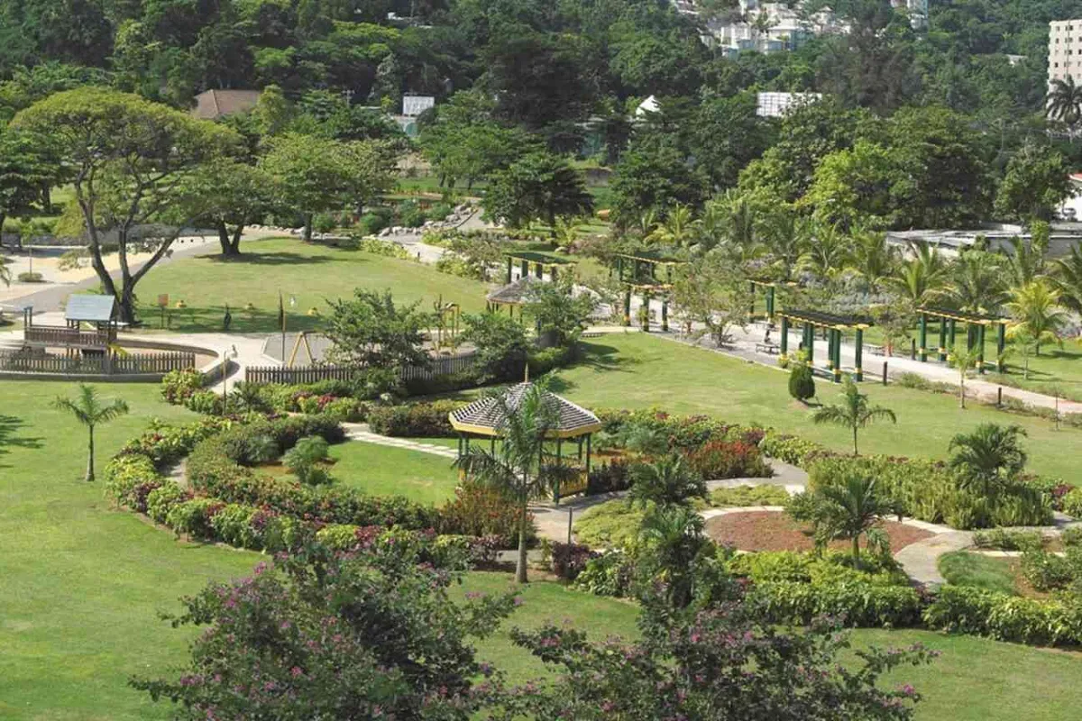 Turtle River Park