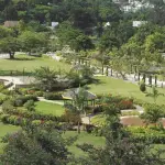 Turtle River Park