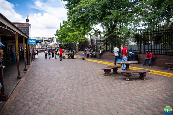 Cecil Charlton Park
