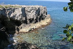 Negril Cliffs