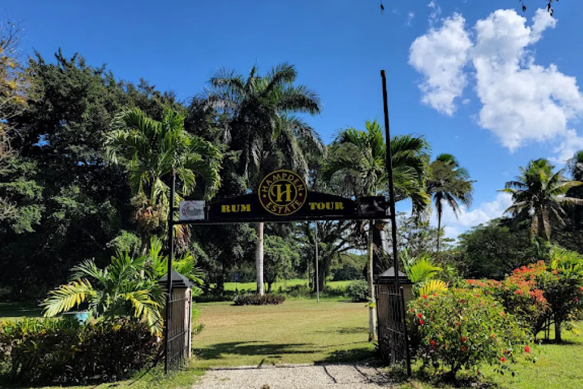 Hampden Sugar Estate Rum Tour