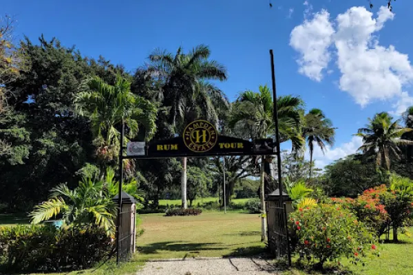Hampden Sugar Estate Rum Tour