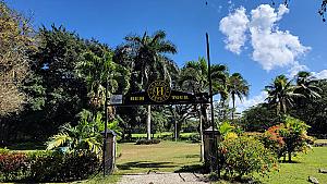 Hampden Sugar Estate Rum Tour