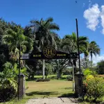 Hampden Sugar Estate Rum Tour
