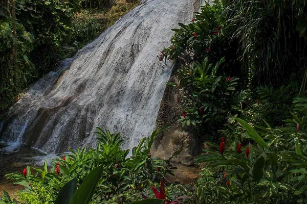 Shaw Park Gardens and Waterfalls