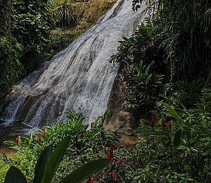 Shaw Park Gardens and Waterfalls