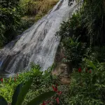Shaw Park Gardens and Waterfalls