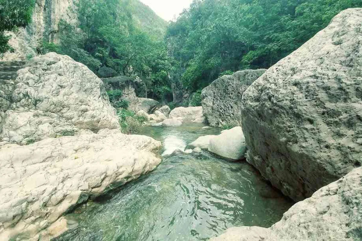 Cane River Falls
