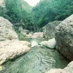 Cane River Falls