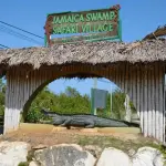 Jamaica Swamp Safari Village
