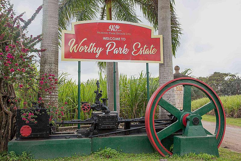 Worthy Park Estate Rum Tour