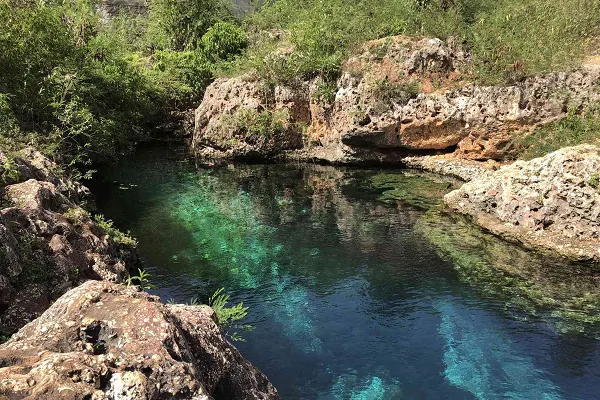 Gut River