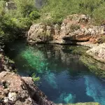 Gut River