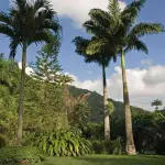 Castleton Botanical Gardens