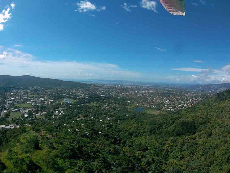 Paradise Wings - Kingston Skyline