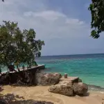 Coconut Grove Beach