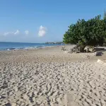 Fort Clarence Beach Park