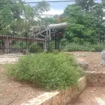 Fort Montego