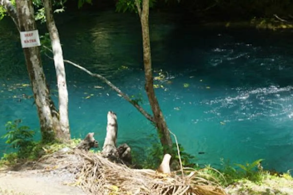 Calby’s Hidden Beauty River