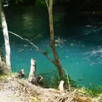 Calby’s Hidden Beauty River