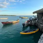Ignite Vybz Transfer & Tours