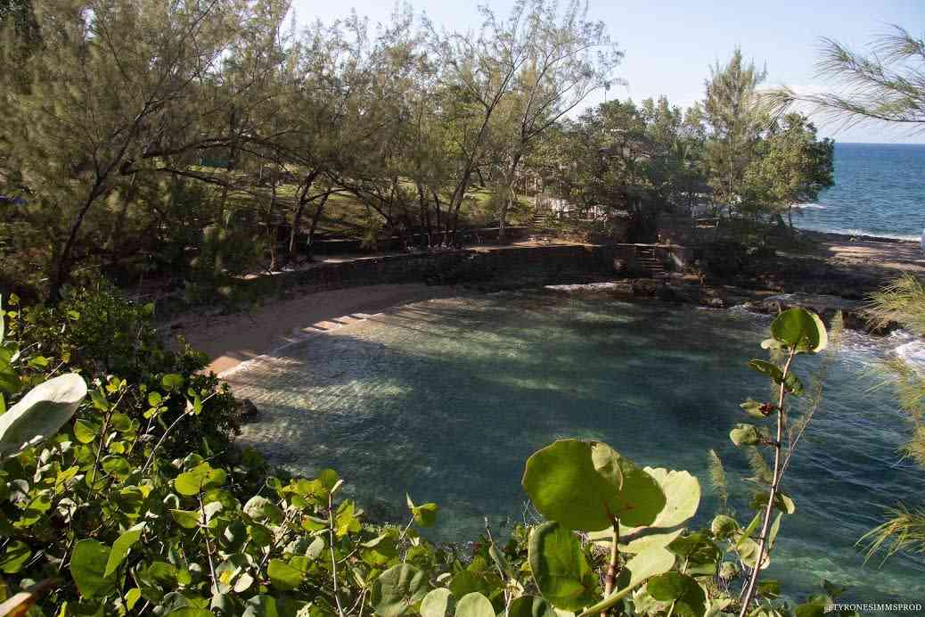 Strawberry Fields Together