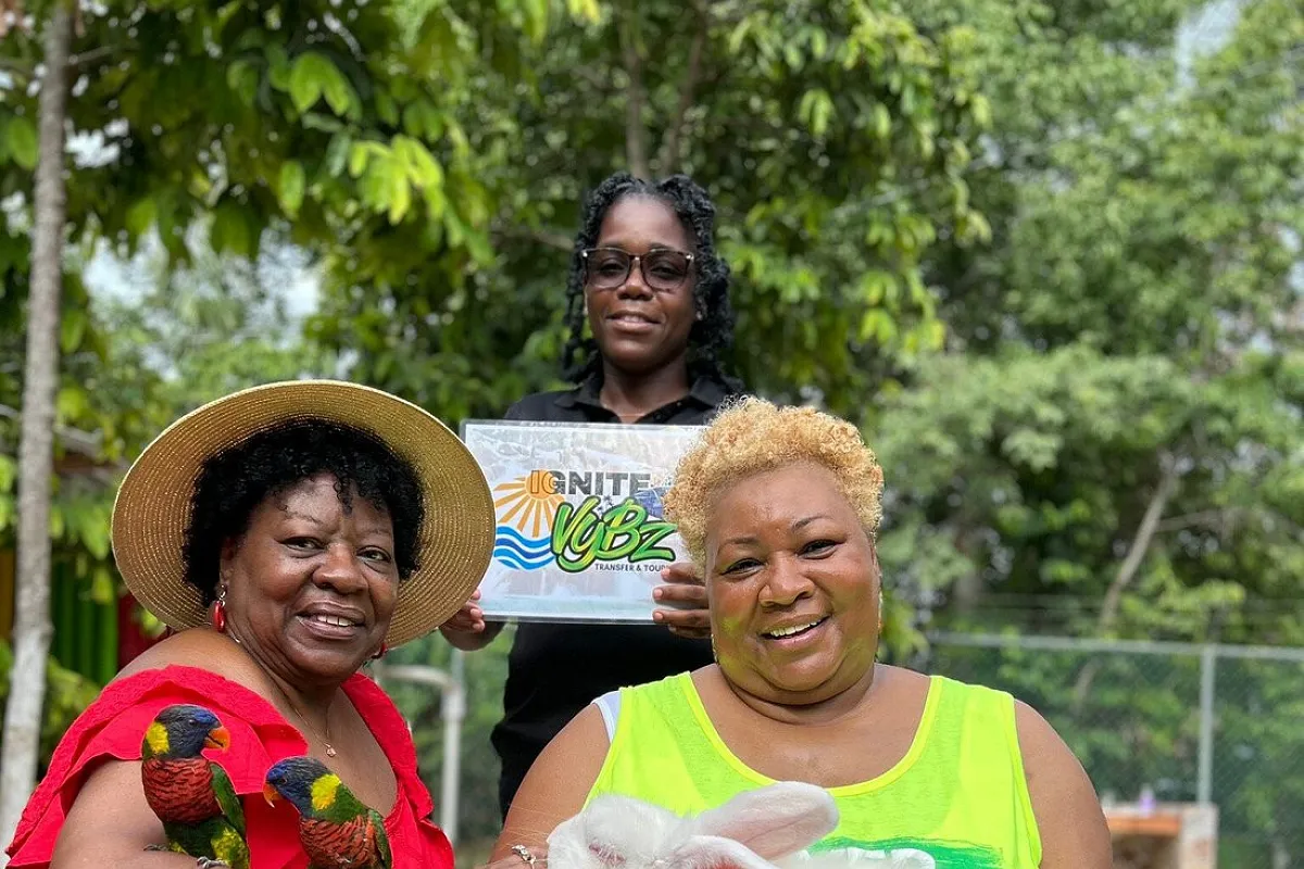 Ignite Vybz Transfer & Tours