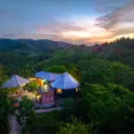 Stush in the Bush