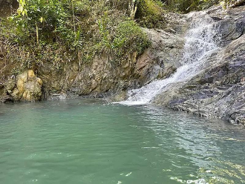Bayson River Falls and Cafe
