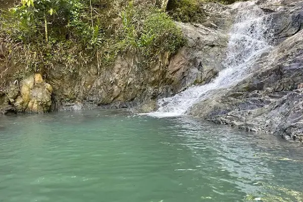 Bayson River Falls and Cafe