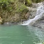 Bayson River Falls and Cafe