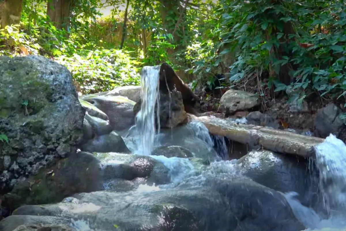 Bluefields River