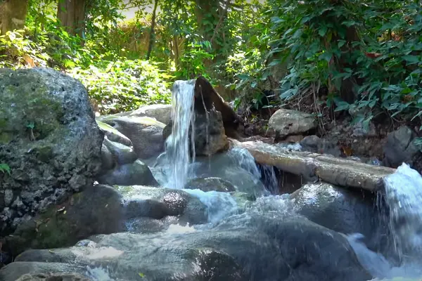 Bluefields River