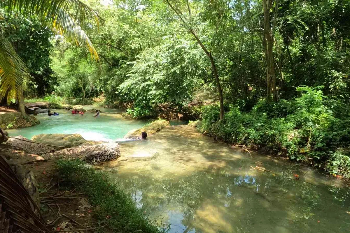 Streamz Palmz (Stream Palmz) River