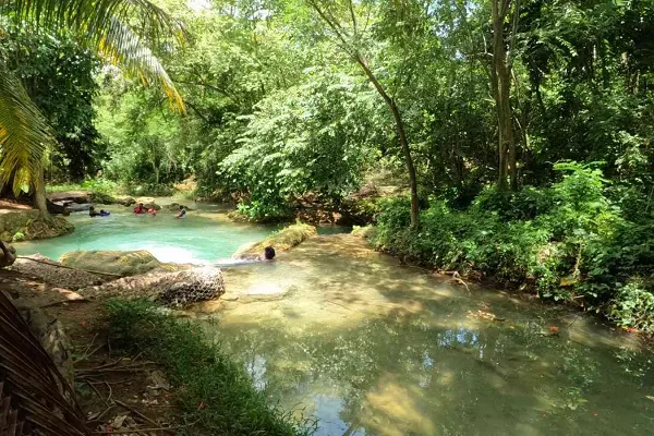 Streamz Palmz (Stream Palmz) River