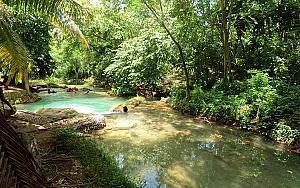 Streamz Palmz (Stream Palmz) River