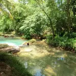 Streamz Palmz (Stream Palmz) River