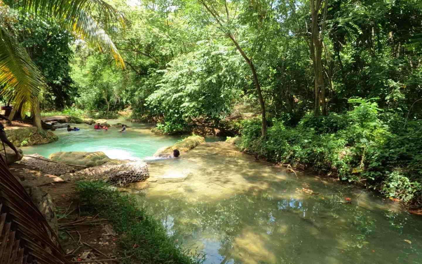 Streamz Palmz (Stream Palmz) River