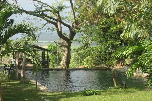 Exploring Jamaica’s Waterfalls: Nature’s Best Escapes