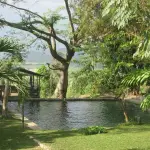 Exploring Jamaica’s Waterfalls: Nature’s Best Escapes