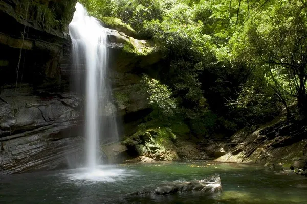 Exploring Jamaica’s Waterfalls: Nature’s Best Escapes