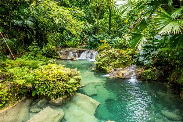 Exploring Jamaica’s Waterfalls: Nature’s Best Escapes